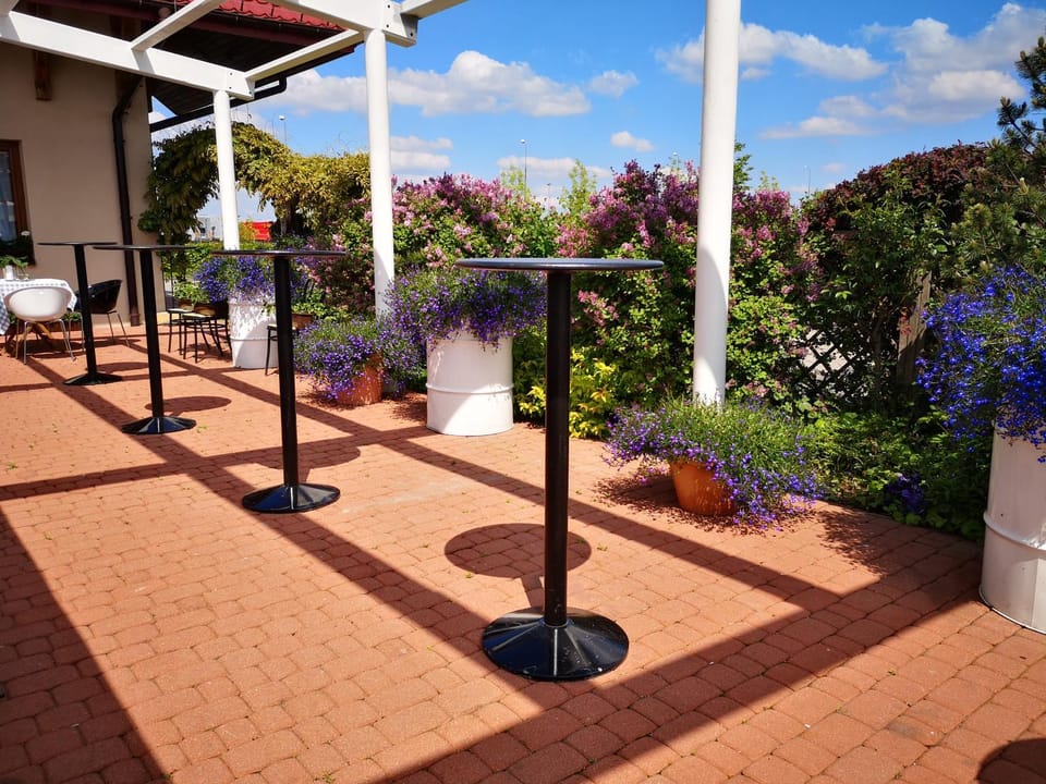 Patio, Garden view