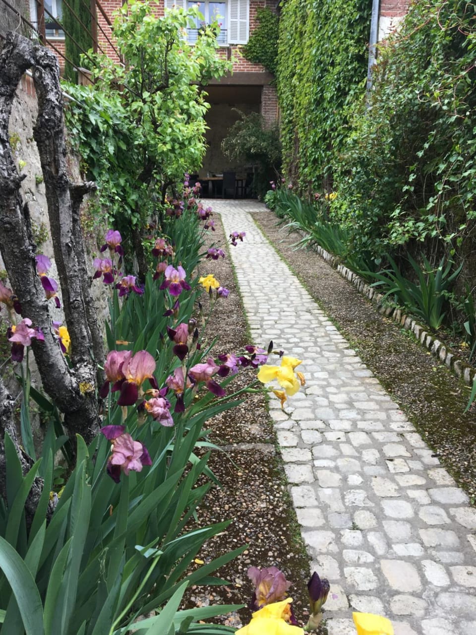 Troglodytes "Loire Sauvage" Bed and Breakfast in Centre-Val de Loire