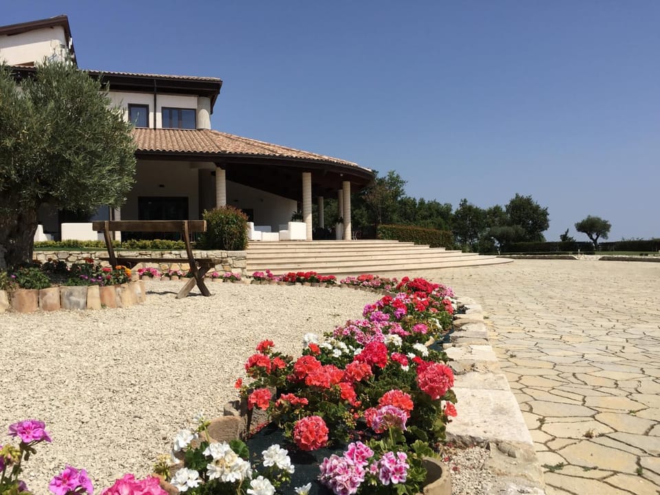 Property building, Garden, Garden view