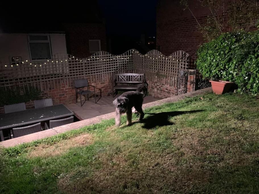 Award winning pet friendly paddock cottage House in England