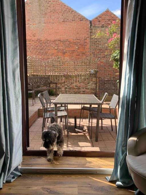 Award winning pet friendly paddock cottage House in England