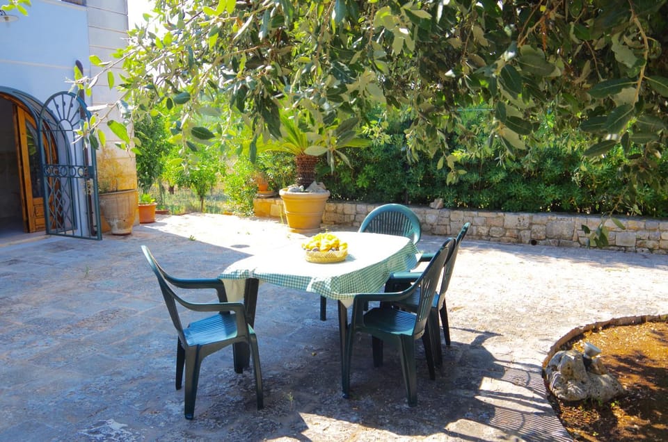 Patio, Garden, Garden, Balcony/Terrace, Seating area, Dining area