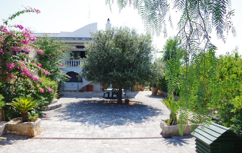 Property building, Facade/entrance, Day, Neighbourhood, Summer, Garden, View (from property/room), Balcony/Terrace, On site