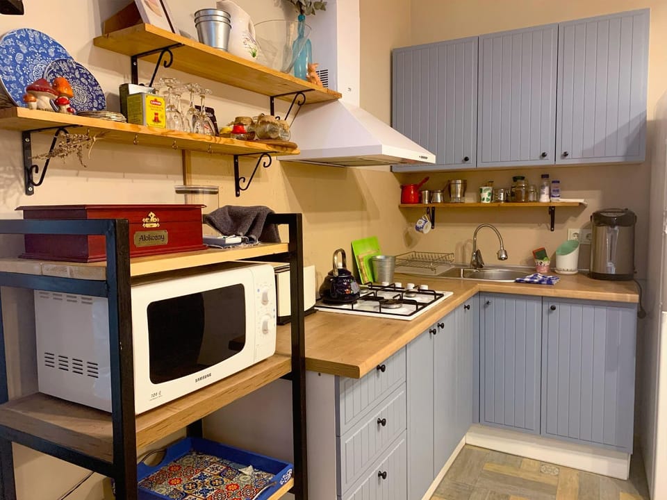 Coffee/tea facilities, Kitchen or kitchenette, minibar, stove