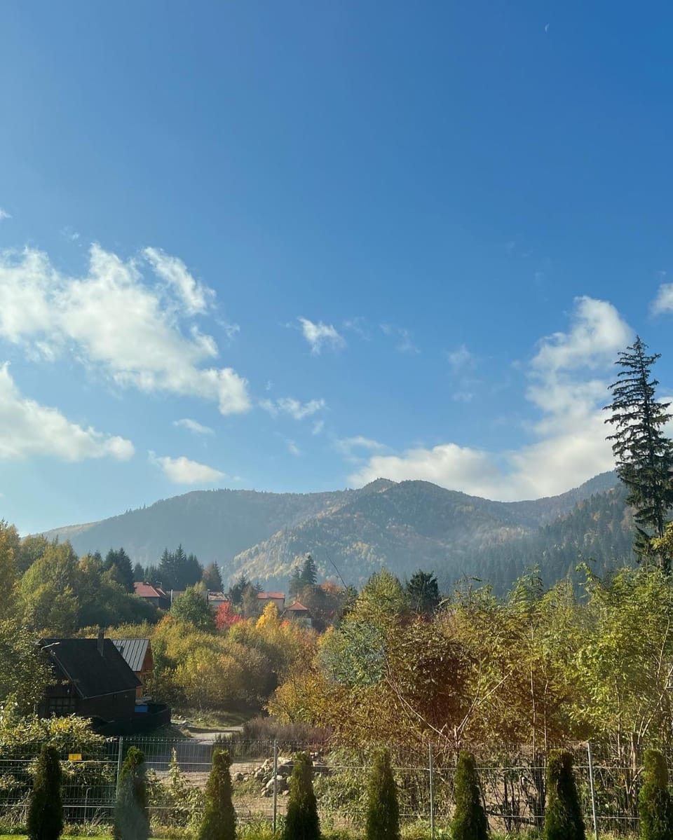 Mountain view