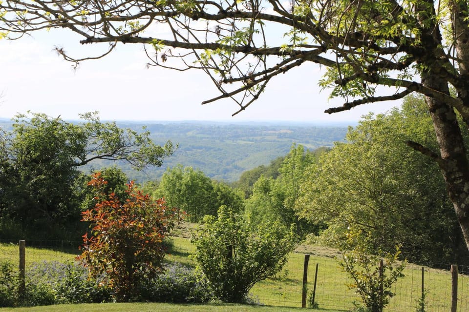 View (from property/room)