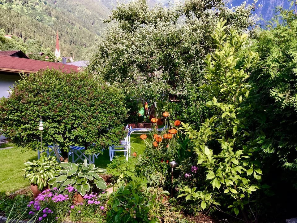 Garden, Garden