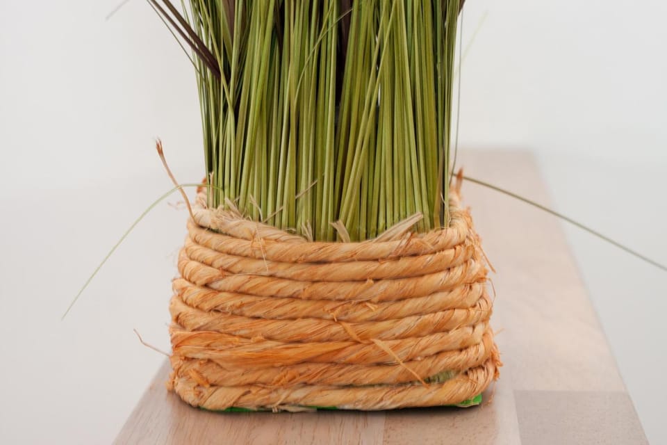 50079... House in Wangerland