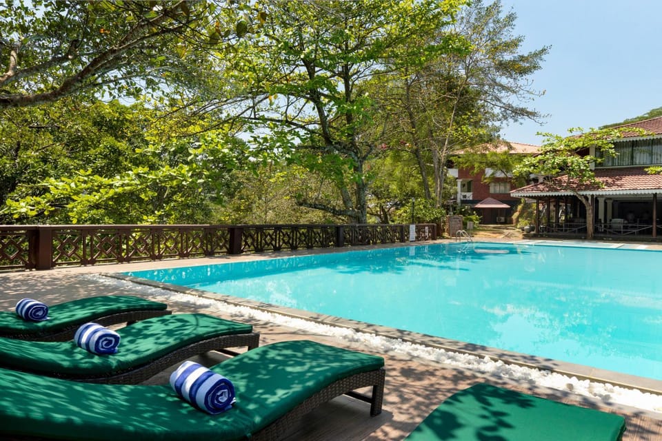 Natural landscape, Pool view, Swimming pool, sunbed