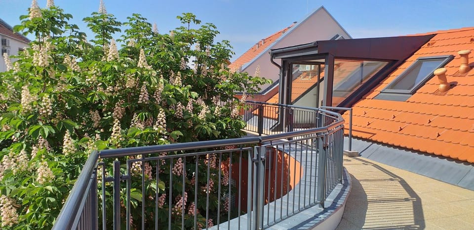 Patio, Balcony/Terrace, City view, Garden view, Inner courtyard view