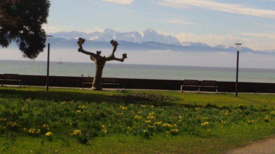 Auszeit am See Apartment in Langenargen