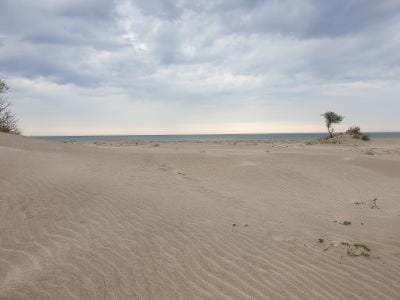 Natural landscape, Beach