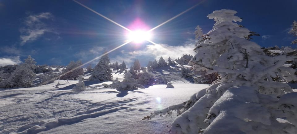 Natural landscape