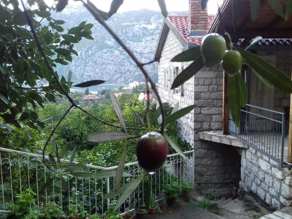 Garden, Garden, City view, City view, Garden view, Garden view, Mountain view, Mountain view, Sea view, Sea view