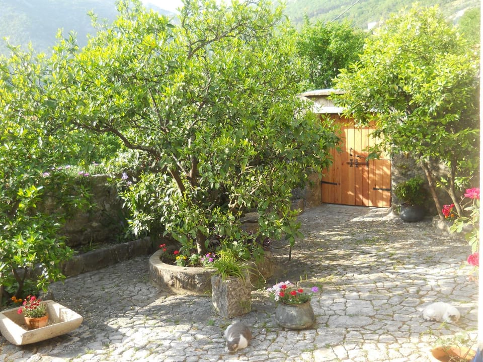 Day, Garden, Garden, Pets, Guests, Garden view, Garden view, Mountain view, Mountain view, Sea view, Sea view, group of guests, Family