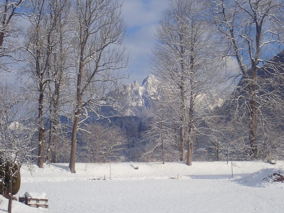 Natural landscape, Winter