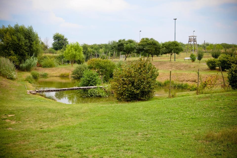 Area and facilities
