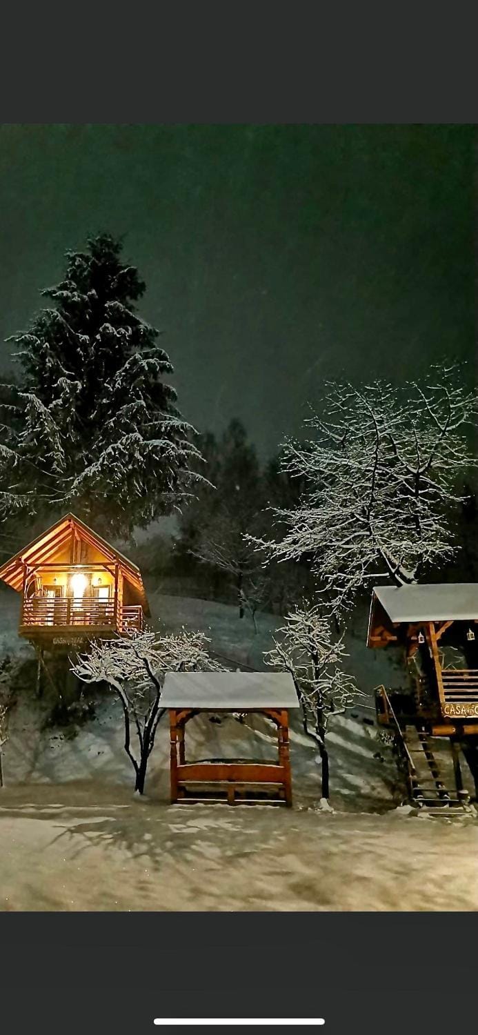 Night, Winter