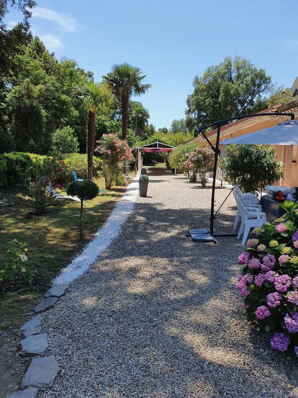 Patio, Garden