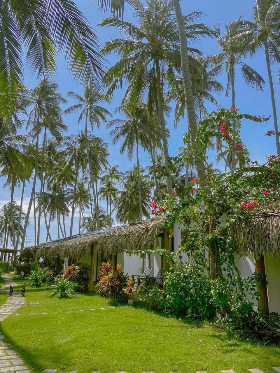 Garden view