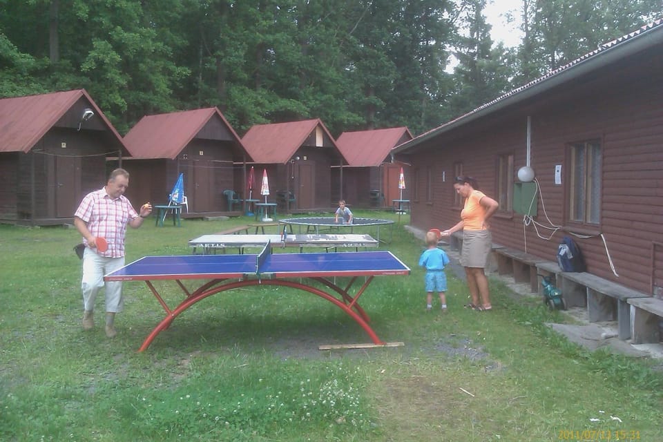 Table tennis
