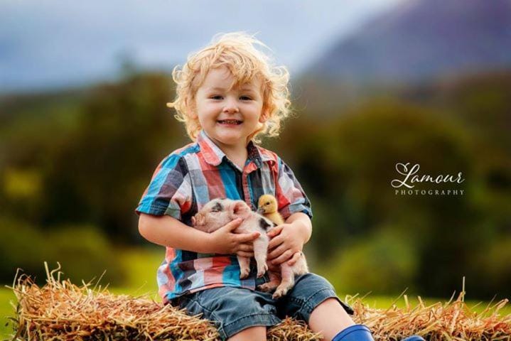 Blackwattle Farm Farm Stay in Queensland