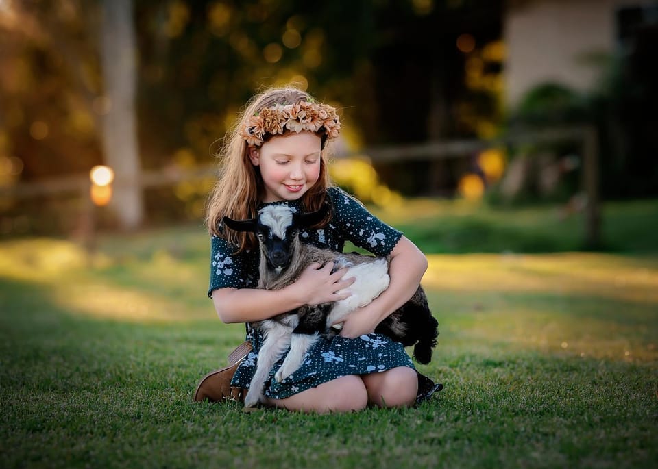 Blackwattle Farm Farm Stay in Queensland