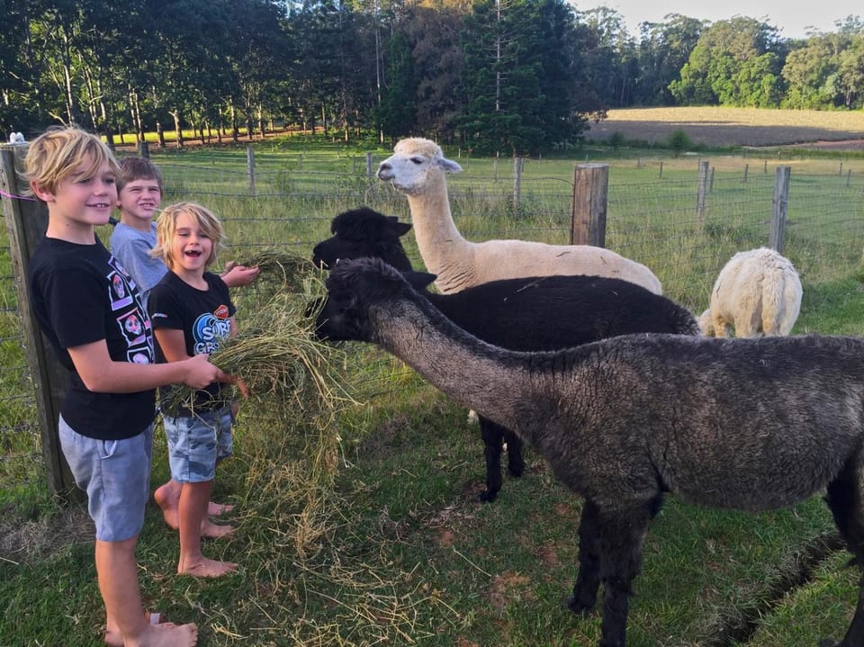 Blackwattle Farm Farm Stay in Queensland