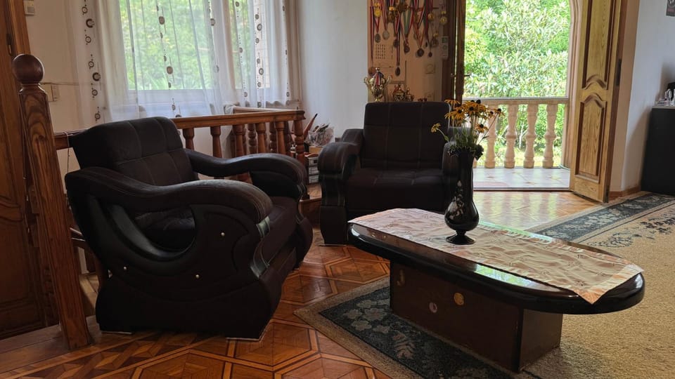 Сибиряк Sibiryak Bed and Breakfast in Georgia