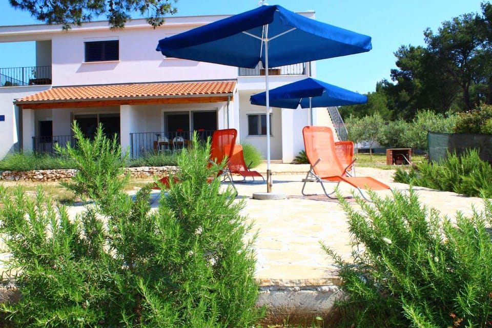 Summer, Garden, sunbed