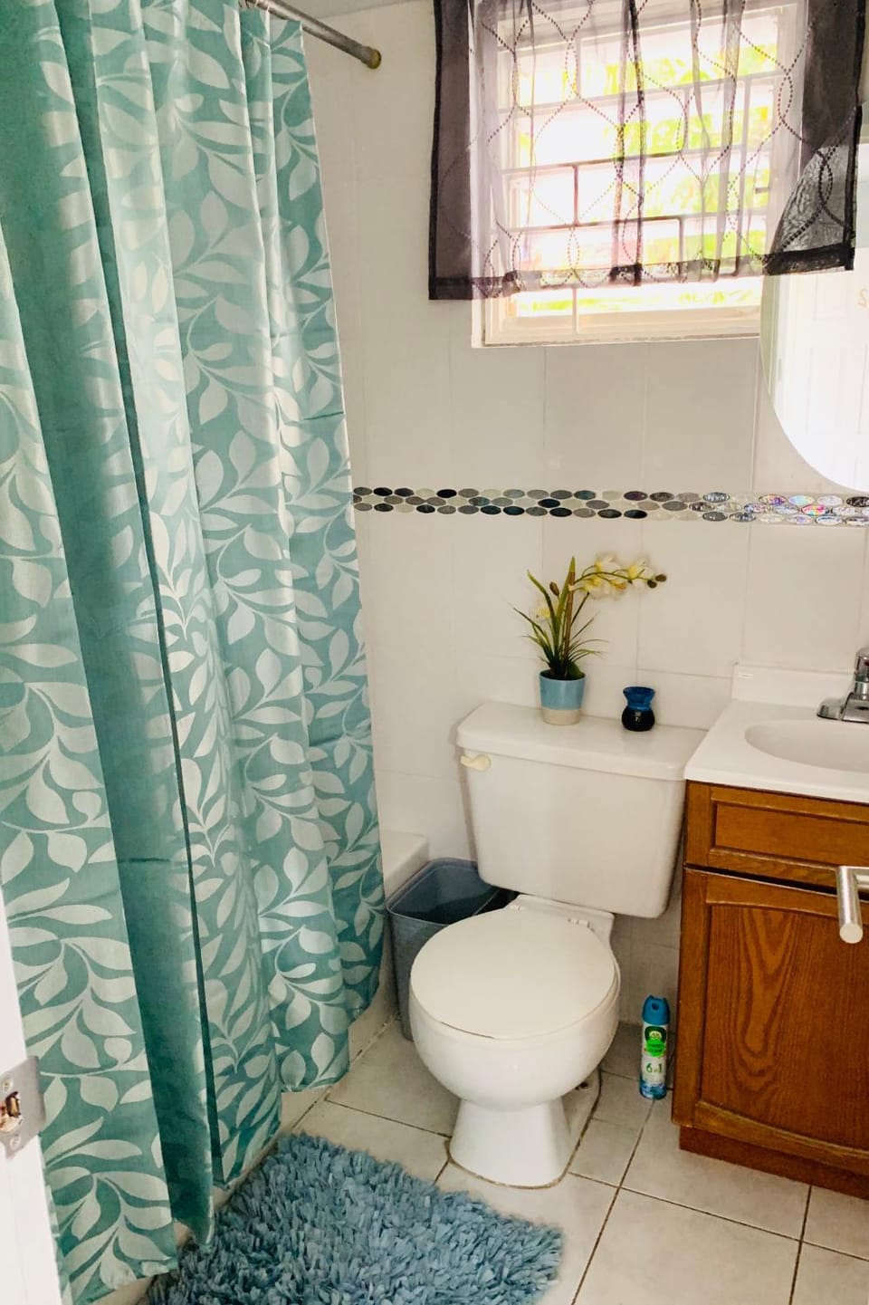 Studio 13 Apartment in Kingston