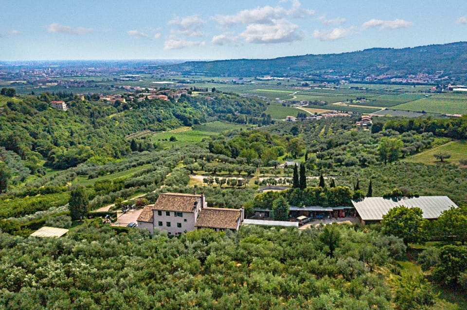 Bird's eye view, City view