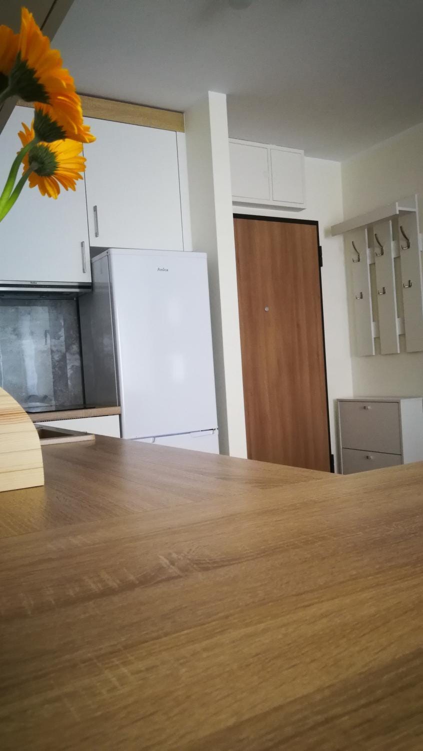 Apartament Słoneczne Wzgórze Apartment in Pomeranian Voivodeship