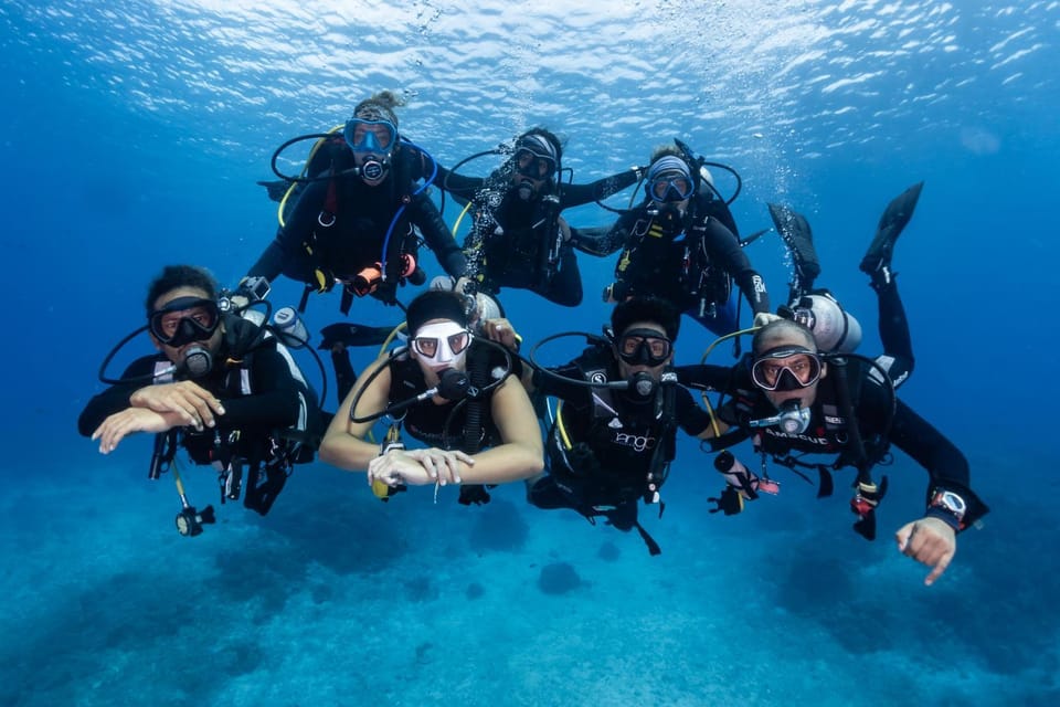 Activities, Activities, Diving