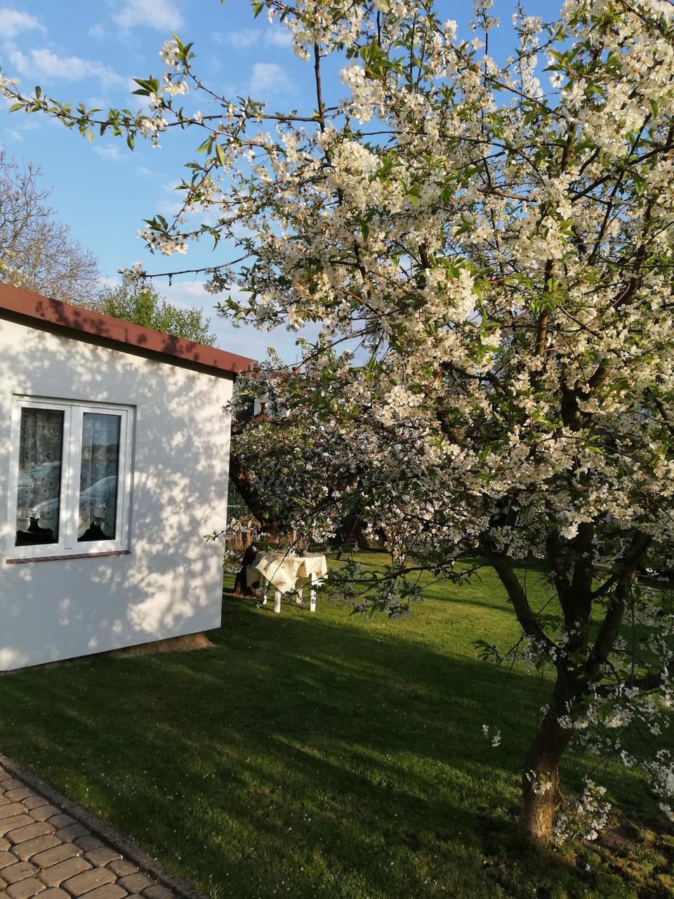 Property building, Garden