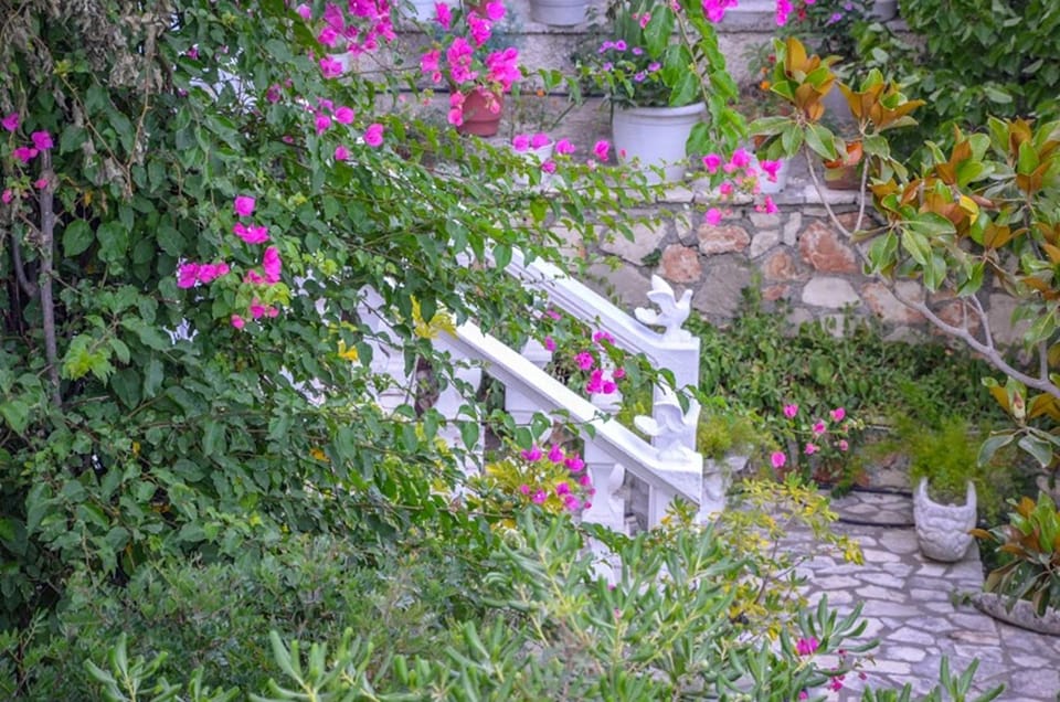 Spring, Day, Garden, Garden view