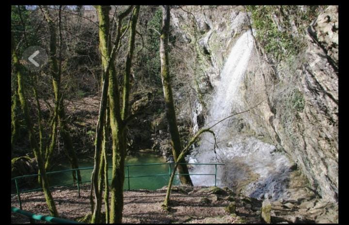 App Lidia Apartment in Istria County