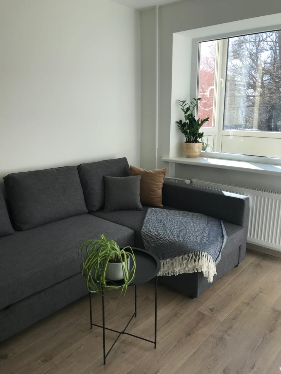 Family Apartment Apartment in Palanga