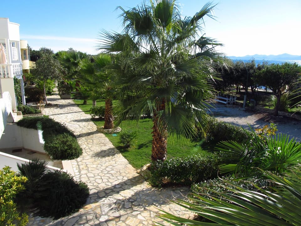 Natural landscape, Bird's eye view, Garden