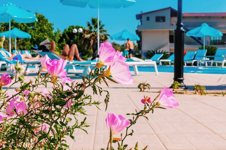 Day, Swimming pool