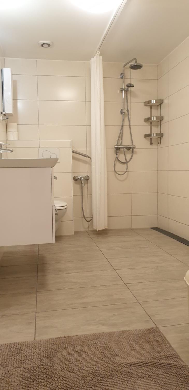 flats-4u - Cosy, quiet & clean apartment in the city ( Apt. 6 ) Apartment in Bonn
