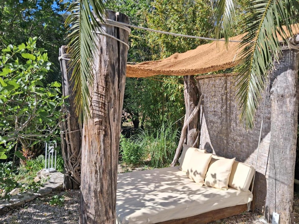 Natural landscape, Garden, sunbed