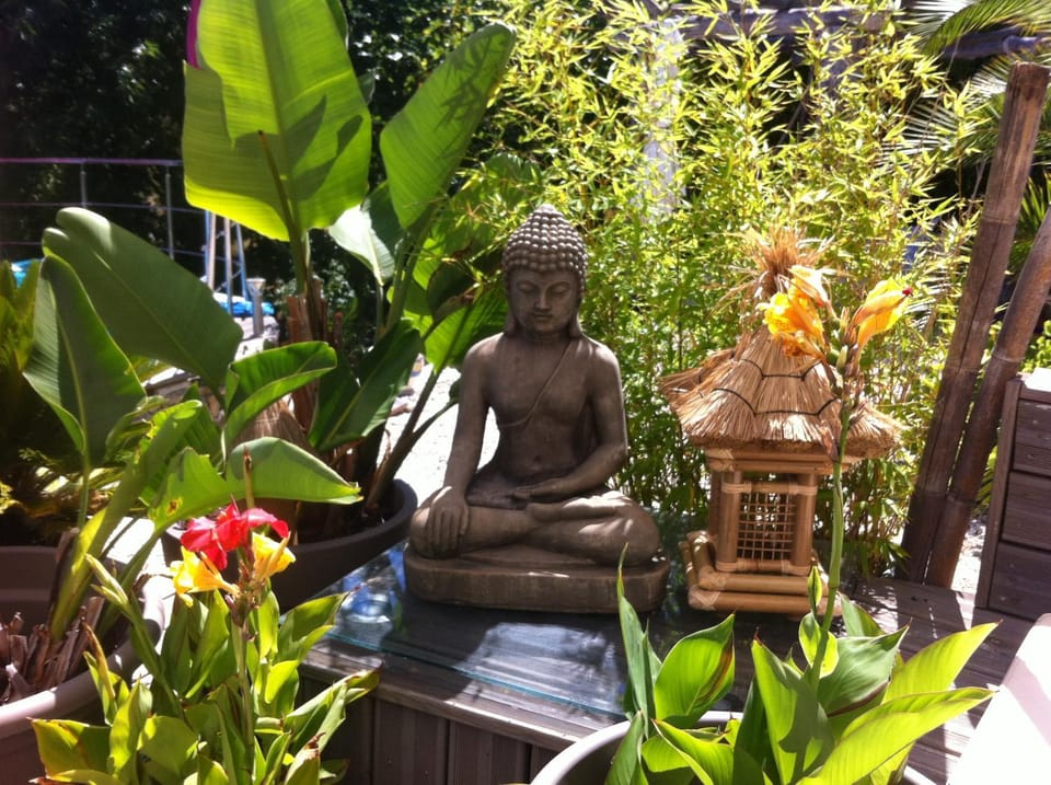 Property building, Garden, View (from property/room), Garden view, Inner courtyard view