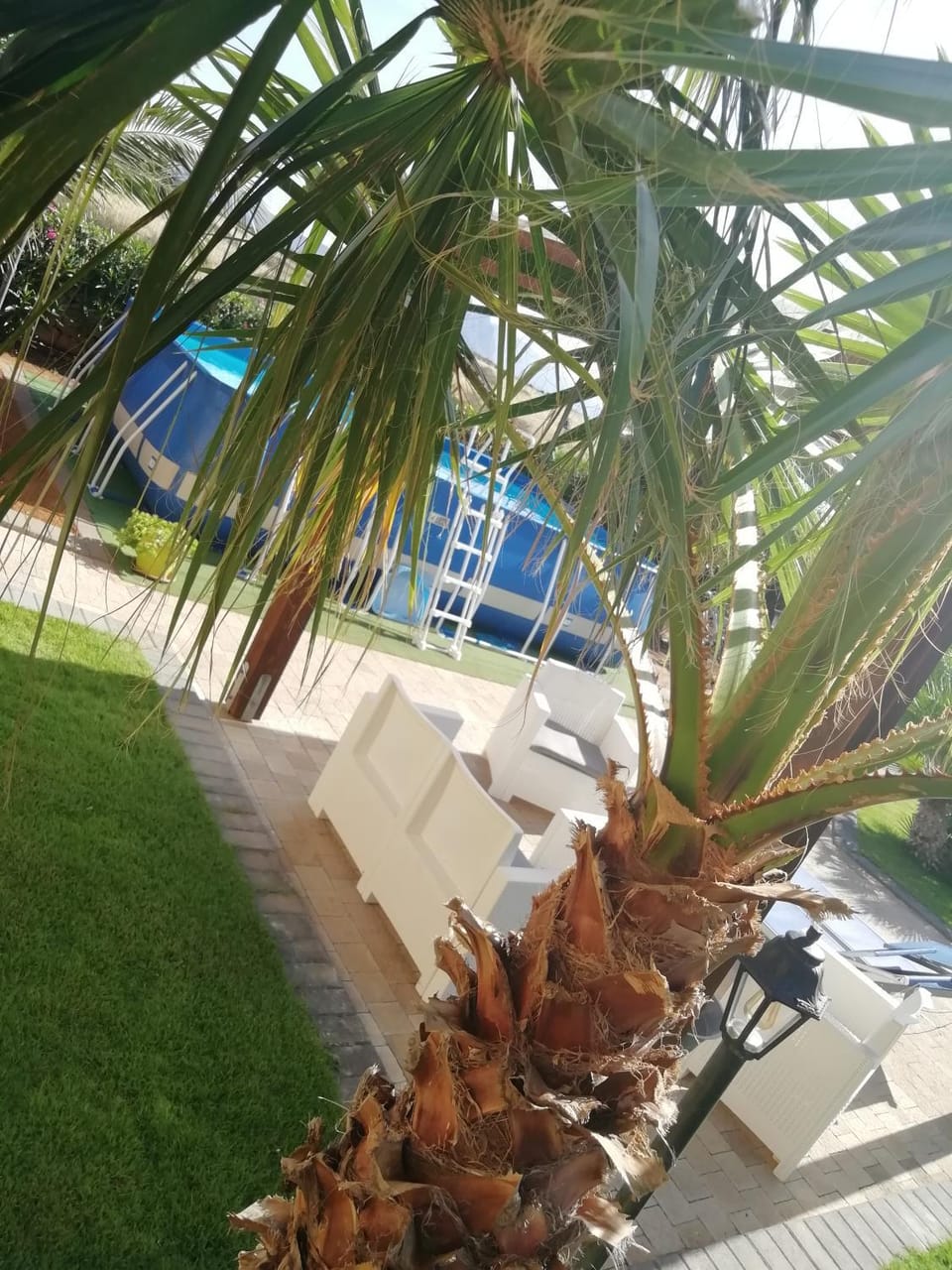 Pool view
