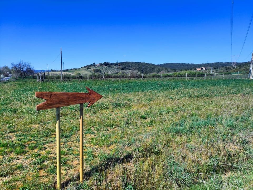 Natural landscape