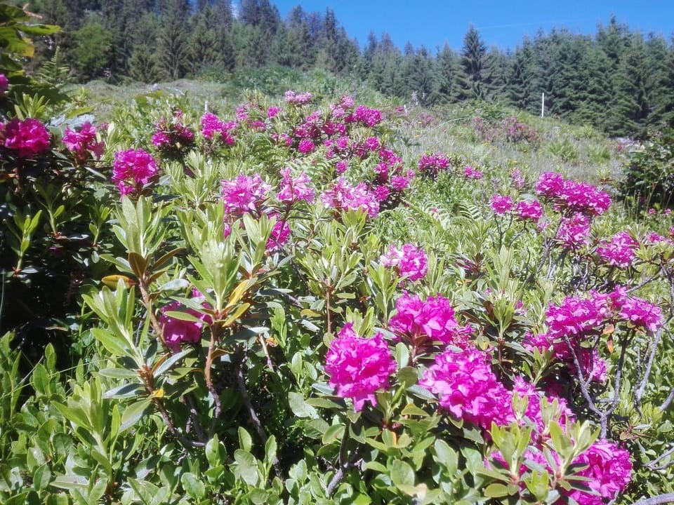 Spring, Off site, Day, Natural landscape, Hiking