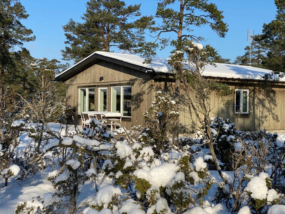 Property building, Winter