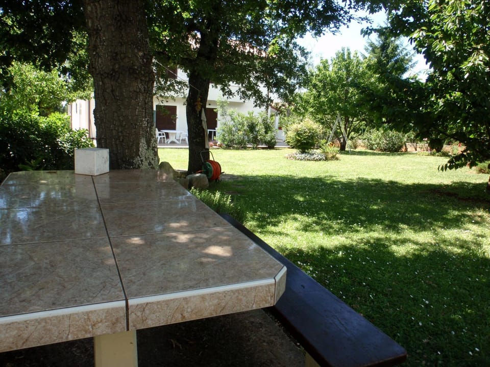Garden, Seating area