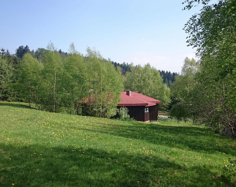 Natural landscape, Garden