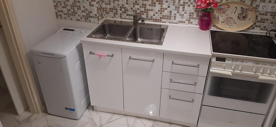 Kitchen or kitchenette, pet friendly, washing machine